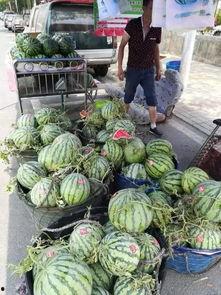 惠州水城吃瓜事件,一场引发热议的网络狂欢与反思