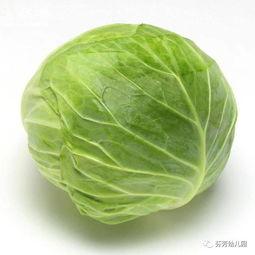 包菜吃瓜,一场味蕾的盛宴  第2张