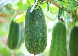 错过吃瓜,谁在笑谈风云