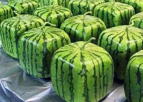 吃瓜出自哪里,从网络流行语到社会现象的演变  第3张