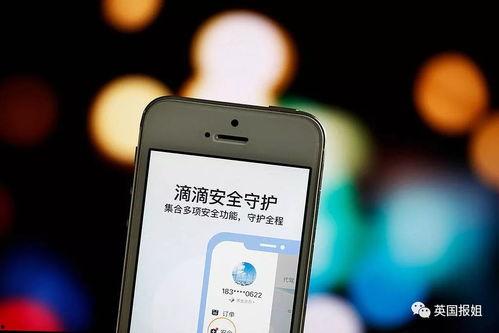 365天吃瓜下载,年度娱乐圈风云录  第1张