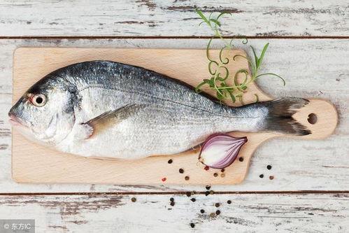 八瓜鱼吃缠人,一场跨越生死的美食奇缘