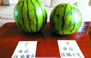 泰圈吃瓜pp,一场娱乐圈的狂欢盛宴  第3张