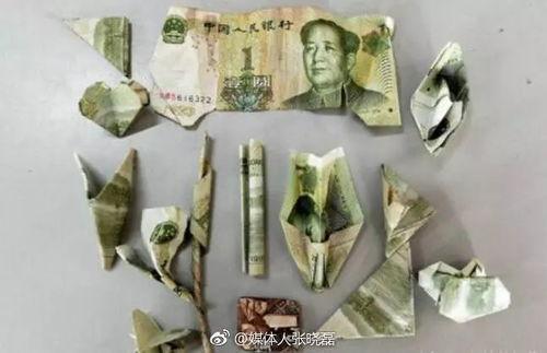 投币吃瓜,揭秘网络时代的趣味互动新潮流  第3张