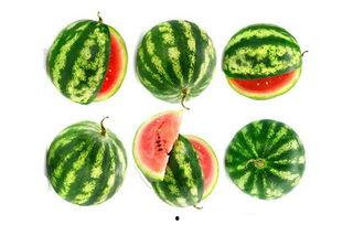 吃瓜小农,揭秘农村生活的酸甜苦辣  第1张