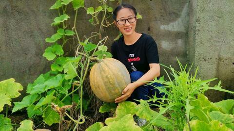 吃瓜小农,揭秘农村生活的酸甜苦辣  第3张