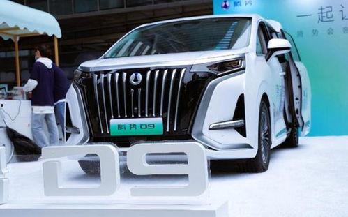 大迪成都吃瓜,揭秘网红美食背后的故事  第2张