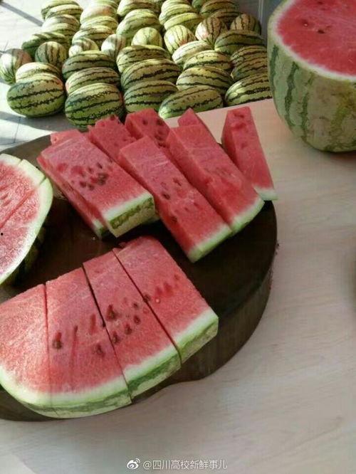 大迪成都吃瓜,揭秘网红美食背后的故事  第3张