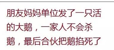 吃瓜误了你哪些事,那些被误读的真相与教训  第1张