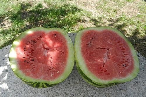 梦见买瓜分瓜吃,瓜分梦境中的甜蜜滋味