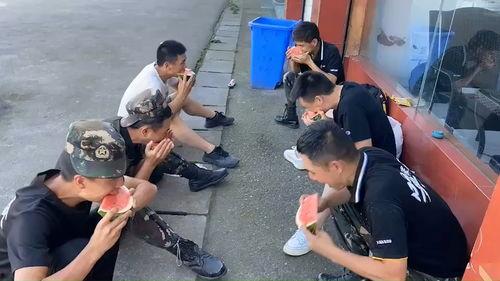 吃瓜楚飞比武,吃瓜群众楚飞比武风云录