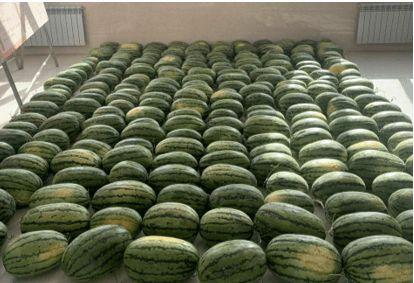 德宏最新吃瓜新闻,真相竟如此惊人！  第3张