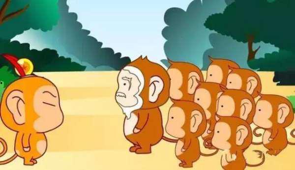 猴王吃瓜的视频,瓜果盛宴欢乐无限  第1张