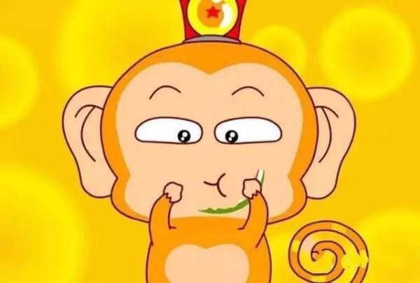 猴王吃瓜的视频,瓜果盛宴欢乐无限  第2张