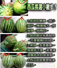 九调吃瓜,揭秘娱乐圈幕后风云