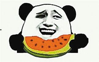 吃瓜群众新手视频下载,新手如何轻松下载吃瓜群众热门视频  第1张