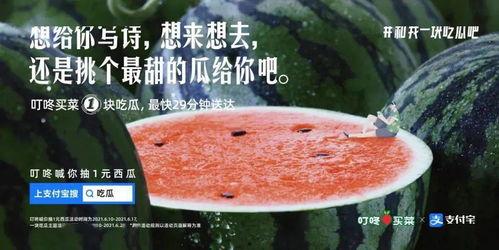 吃瓜吃多的文案,揭秘吃瓜群众的狂欢盛宴  第1张