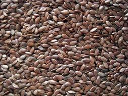 岑岑omega吃瓜,揭秘娱乐圈的“吃瓜”风云