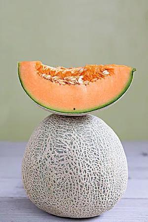 吃瓜养多肉,轻松养护多肉植物的秘诀分享