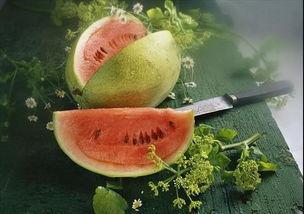 吃瓜养多肉,轻松养护多肉植物的秘诀分享