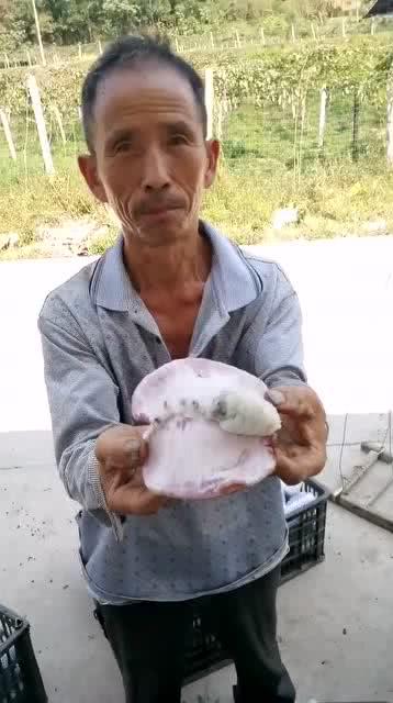 吃瓜爆料大叔是谁,网络红人背后的故事