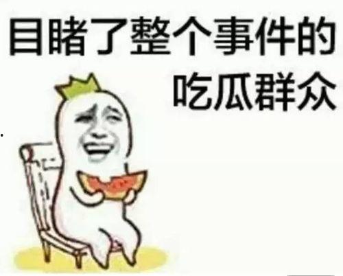 沈锦书吃瓜,揭秘娱乐圈背后的那些事儿