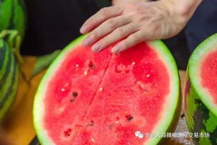 现代学院吃瓜,吃瓜群众眼中的校园风云录