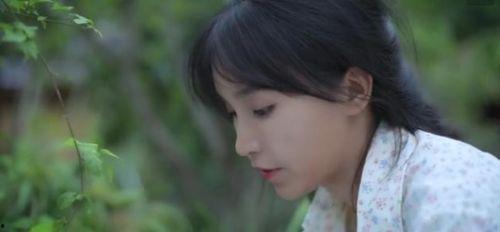 杨柒柒吃瓜视频,揭秘娱乐圈幕后故事