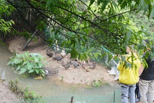 兖州北湖吃瓜,畅享清凉夏日时光