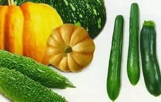 飘瓜如何吃,解锁夏日清新美味