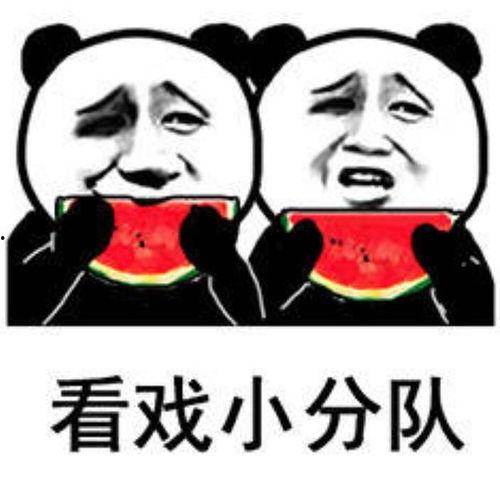 吃瓜还击表情包,表情包中的智慧反击