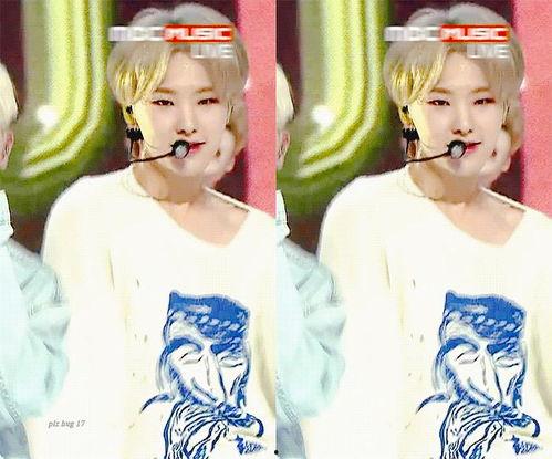 高贵路人吃瓜仙女,揭秘仙女生存法则