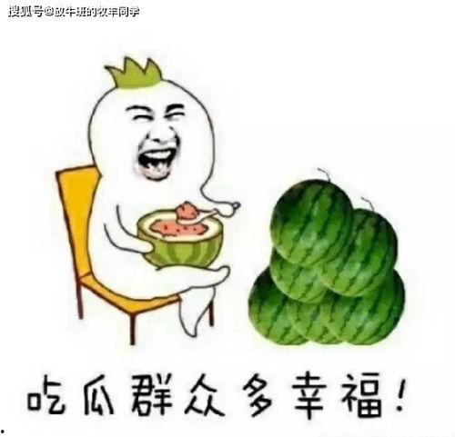 吃瓜定神打一数字,揭秘数字背后的奥秘