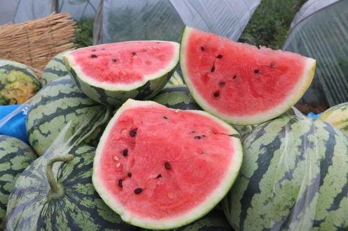 你们网上吃瓜,揭秘虚拟世界中的围观文化