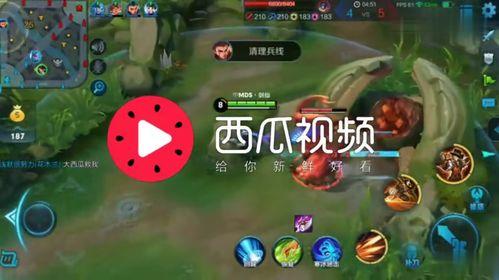 吃瓜视频背景配乐,揭秘吃瓜视频背后的音乐魅力