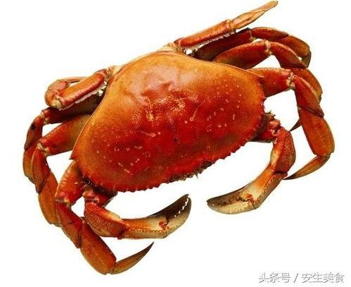 瓜哥吃瓜螃蟹是哪一集,揭秘热门剧集背后的美食诱惑  第3张