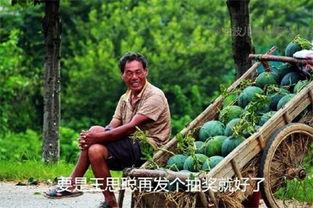 《吃瓜》全部  第2张