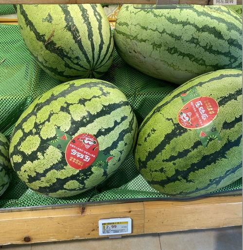 《吃瓜》全部  第3张