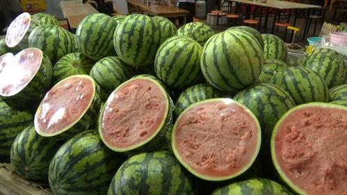 吃瓜15种技巧,轻松成为瓜界高手 第3张 吃瓜15种技巧,轻松成为瓜界高手 第3张